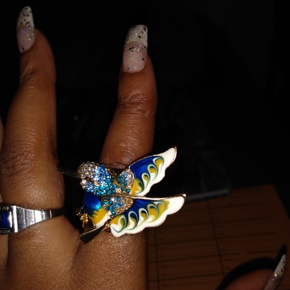 Hummingbird - Picture 2 of 2